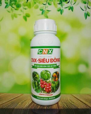 CNX Siêu Đồng - Sát khuẩn, rửa vườn, phòng trừ ghẻ loét