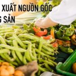 Trồng rau sạch tại nhà bạn có thể làm được điều đó?